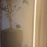 آباژور مدرن