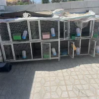 قفس جیجه گیری جفتگاه