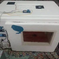 دستگاه جوجه کشی تمام اتومات و پیشرفته
