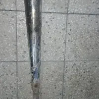 اگزوز شیرازی