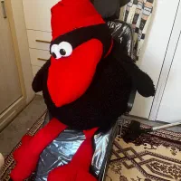 کلاغ عروسکی