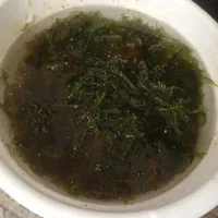 خزه آکواریوم پلنت