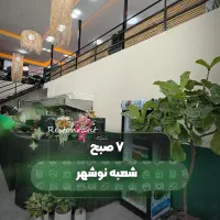 استخدام ظرفشور خانم