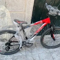 دوچرخه ویوا ۲۶