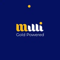 هدیه طلا|فعالیت داوطلبانه تحقیقاتی|شیراز, فرهنگ شهر|دیوار