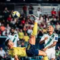 بازیکن برای چمن یا سالن