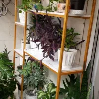استند گل فلزی