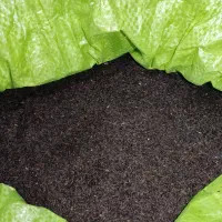 تخم شربتی تمیز