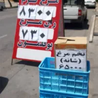 شاگرد مغازه
