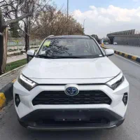 راو ۴ هیبرید