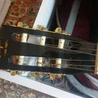 گیتار هافنر