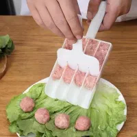 قالب کتلت و شامی و کوفته YSSZAM