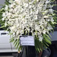 گل‌طبیعی|گل و گیاه طبیعی|باقرشهر, |دیوار