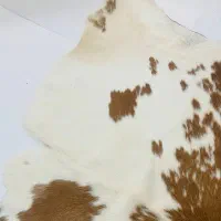 پوست دباغی شده