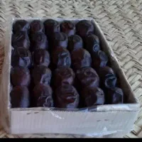 خرما دوردیفه