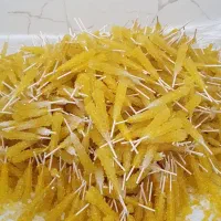 چوبی