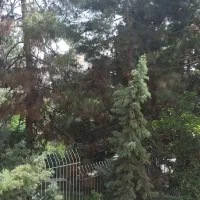 ۱۴۰ متر دوخوابه ولیعصر نزدیک ساعی