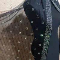 سفارش پذیرفته میشود