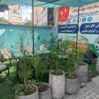 ویلایی-موقعیت-تجاری-اداری