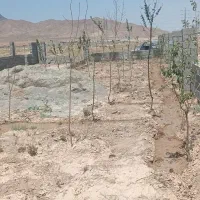 باغچه-آرغش-آباد