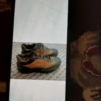 کفش  مهندسی کار
