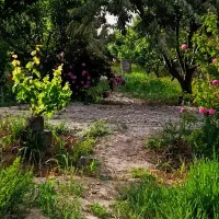 باغچه|فروش زمین و ملک کلنگی|رباط‌کریم, وهن آباد|دیوار