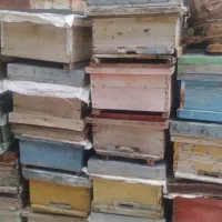 کندو زنبور