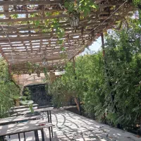 استخدام نیرواراسته