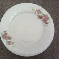 پلوخوری گل سرخ
