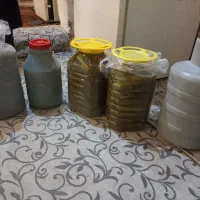 فروش خیارشور تازه