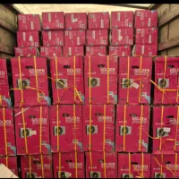 کولر گازی سرمایش گرمایش کولرگازی (رحیمی پور)