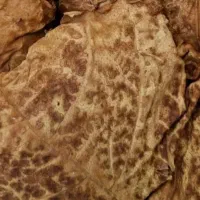 برگ زرد|خوردنی و آشامیدنی|شادگان, |دیوار