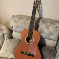 گیتار پارسی در حد اک