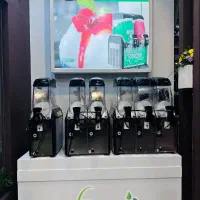 دستگاه یخ در بهشت ساز المیکو ایتالیا