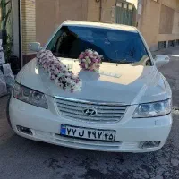 قصر گل(بلوار پارادیس، نبش ک 10) انواع گل آرایی