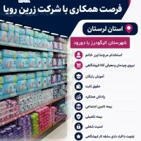 استخدام مرچندایزر خانم الیگودرز و دورود