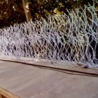 تنوع حفاظ دزدگیر اماکن و شاخگوزنی بزرگ باغ