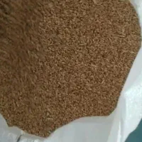 گندم تمیز بومی
