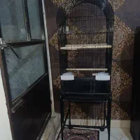 قفس پرنده