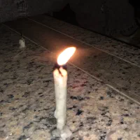 انواع فال و سرکتاب و تک نیت دقیق