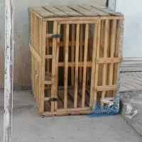 قفس جوجه