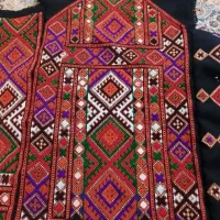 زیاستین