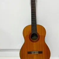 گیتار نو