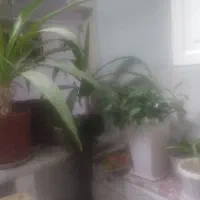 سوییت.مبله.شبانه.روزانه.هفتگی