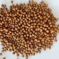 کمک حسابدار خانم