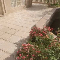 تولیدی موزاییک پیام بتن