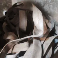 شلنگ