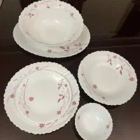 سرویس آرکوپال دینو
