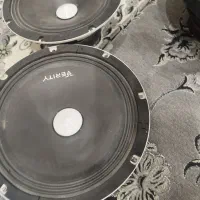 ضبط و باند مارک پاینر