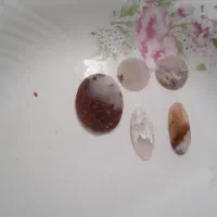 سنگ شجر از دل طبیعت
